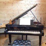 Steinway Model D