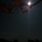 月の調べに