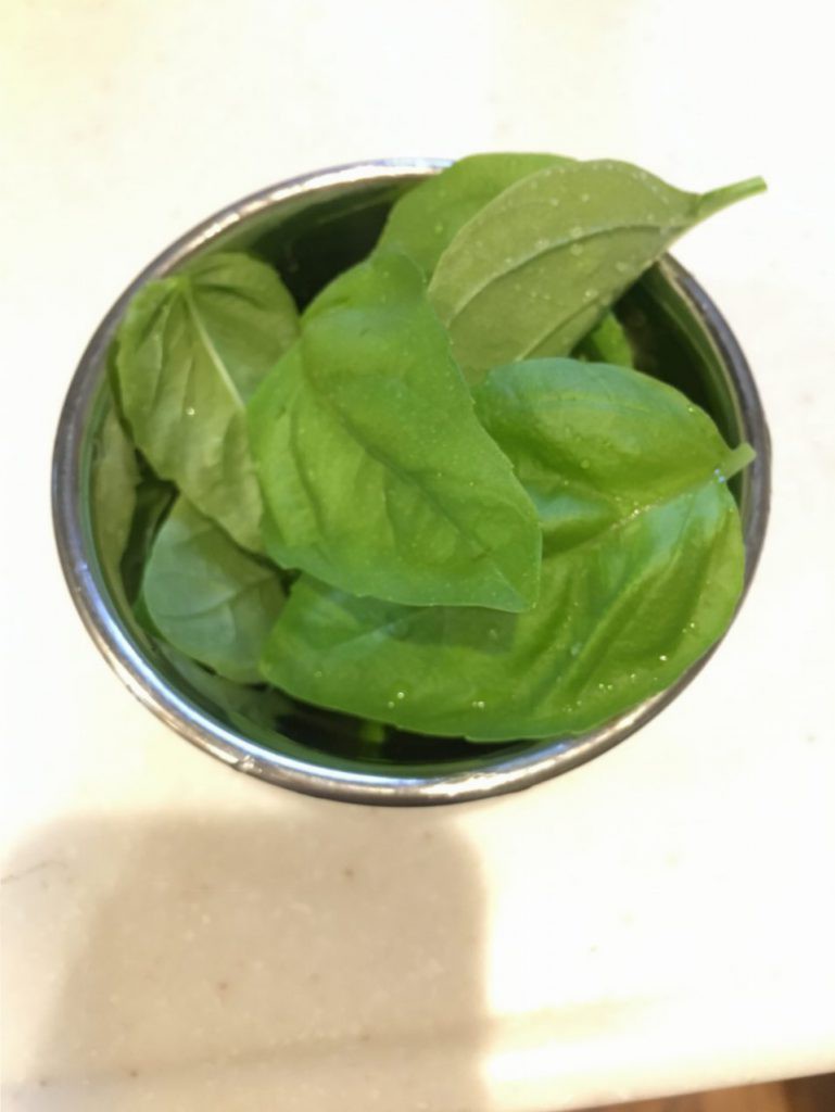 Basil