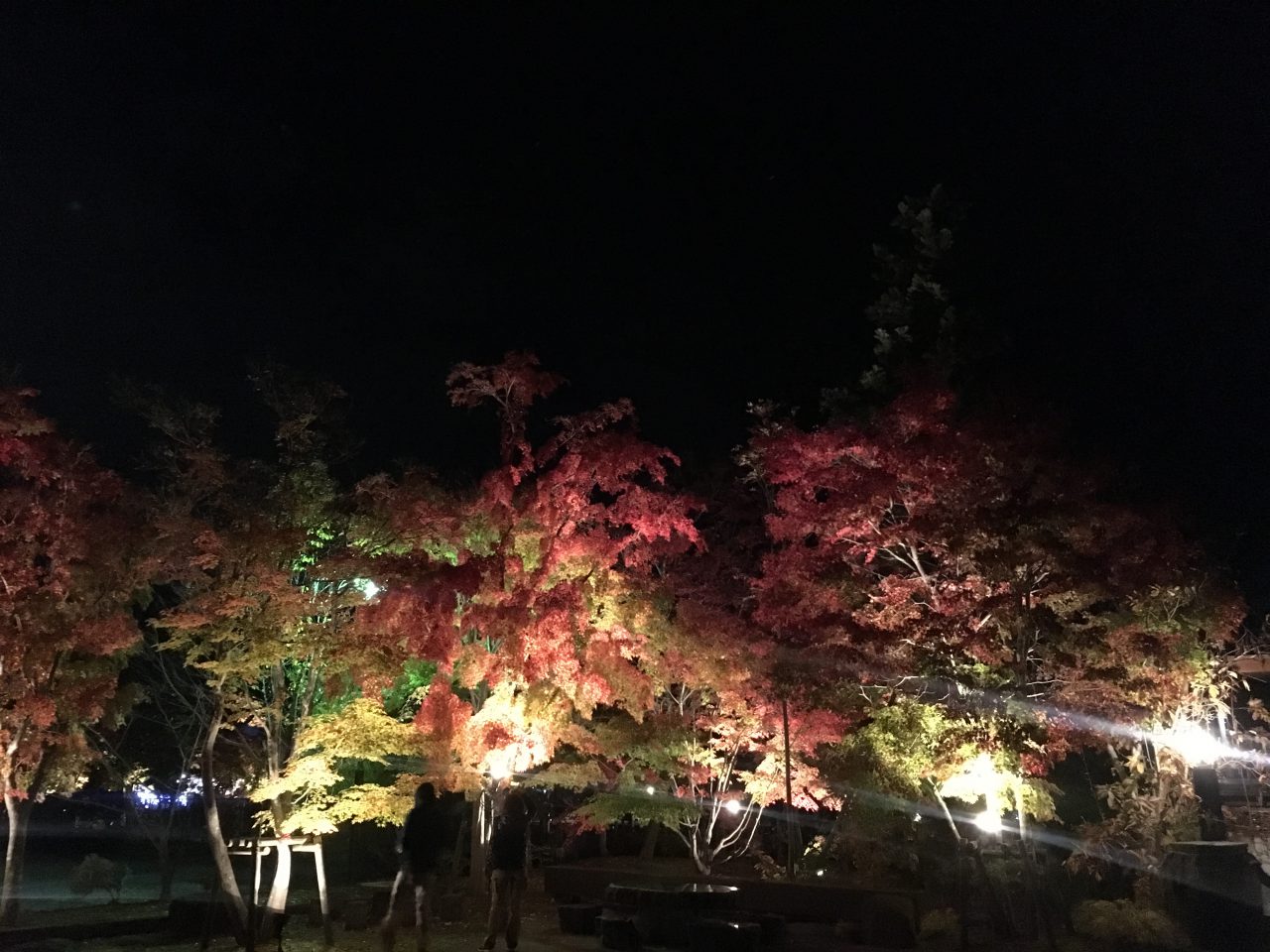 もみじ祭 もみじ祭