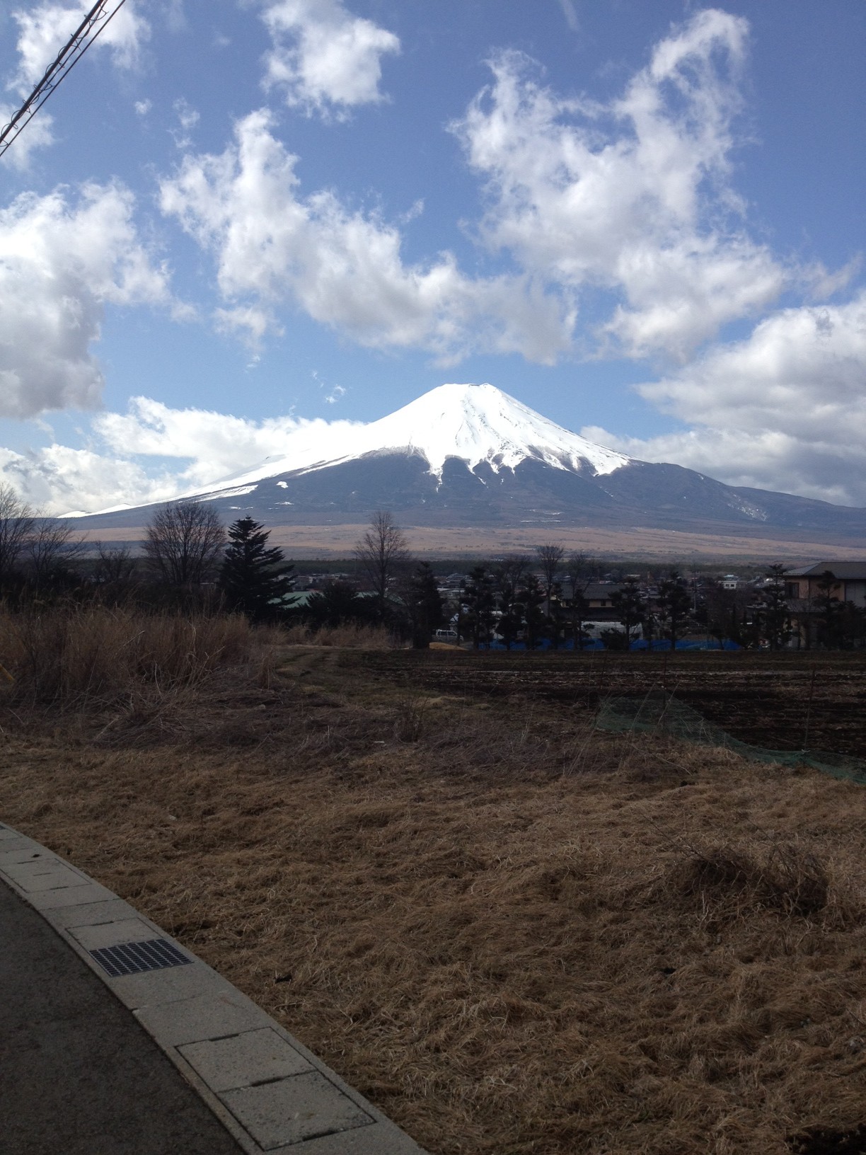 富士山