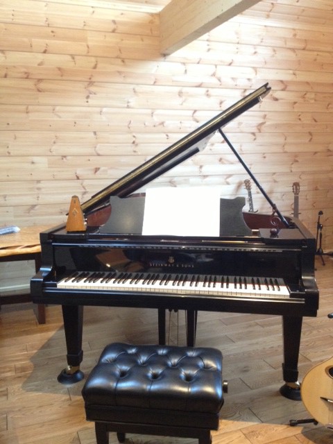 Steinway Model D