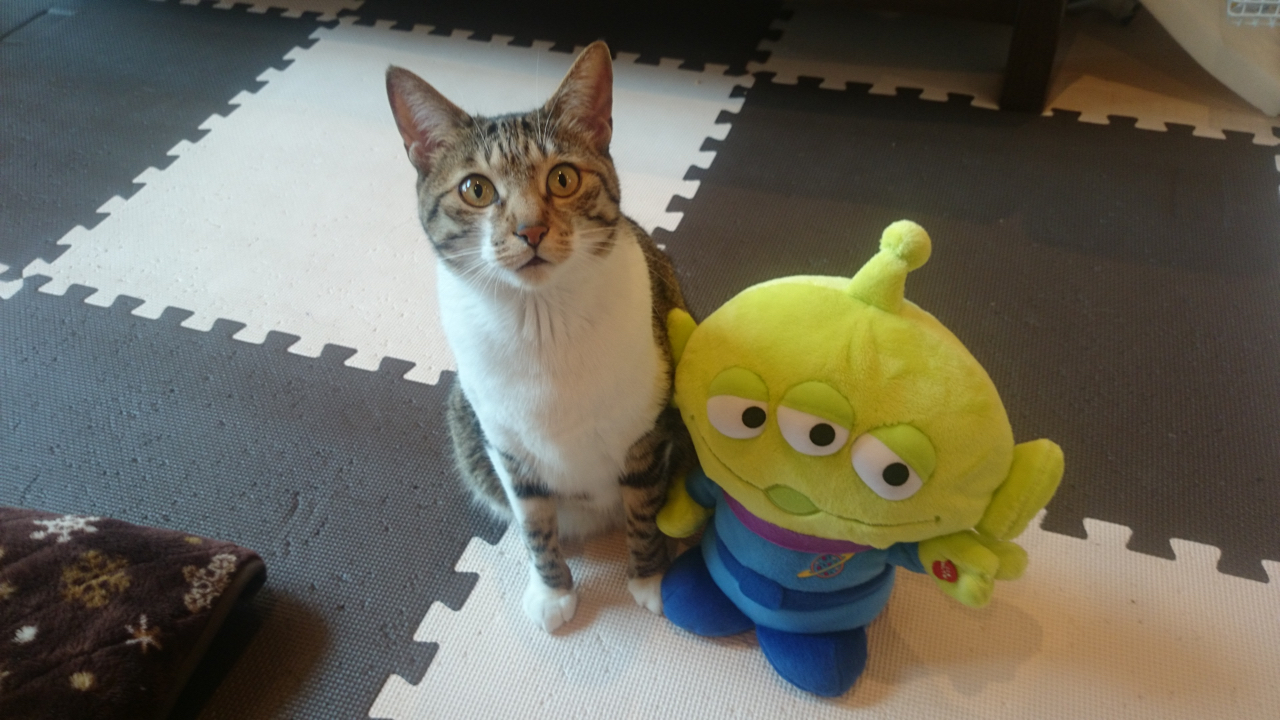 リトルグリーンメン リトルグリーンメン