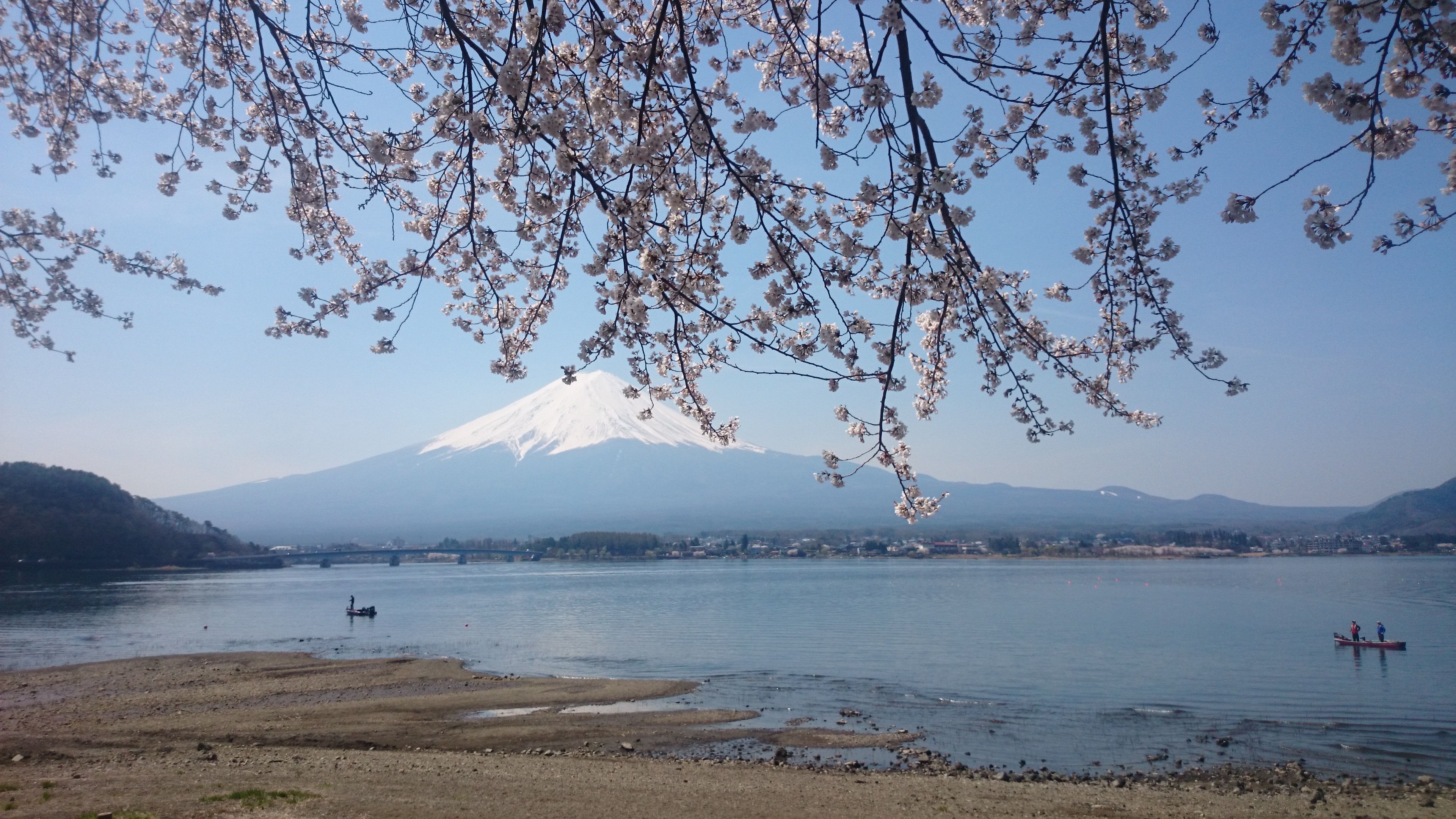 富士と桜