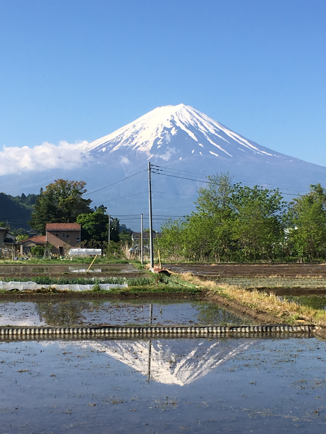 逆さ富士