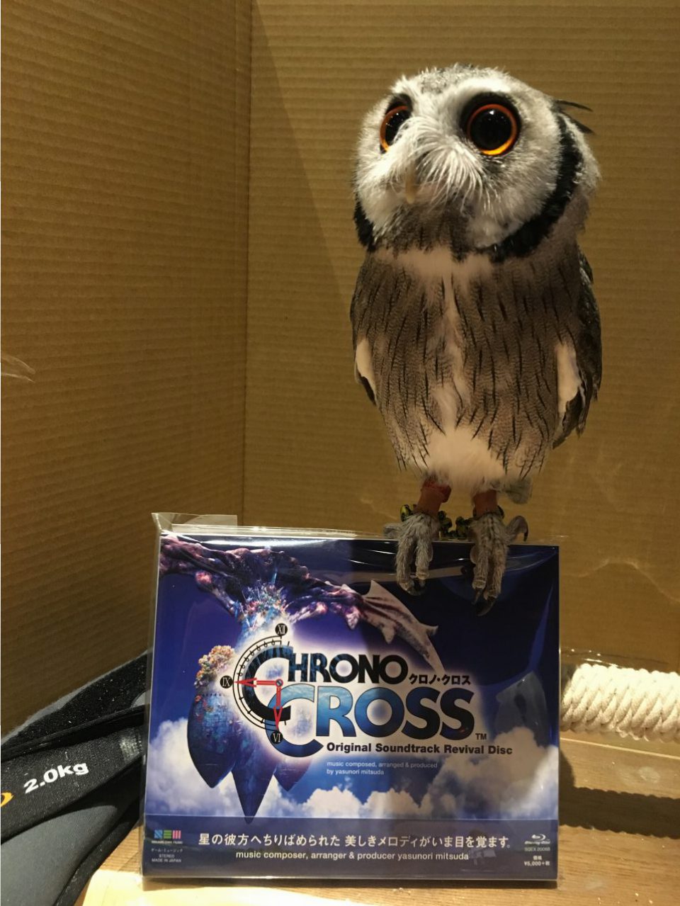 CHRONO CROSS Rev. OST