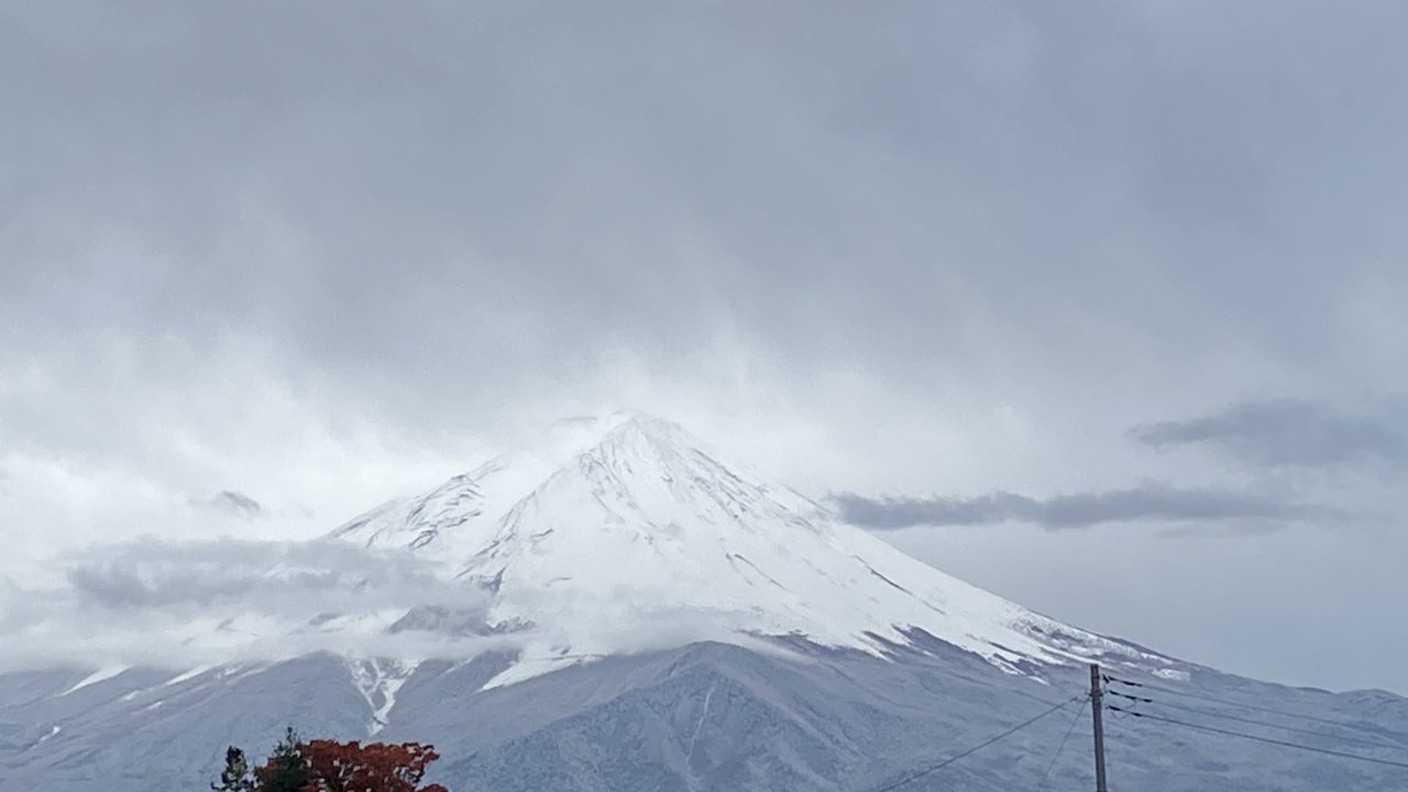 初冠雪