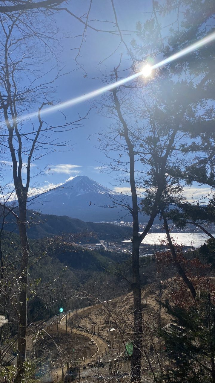 母の白滝