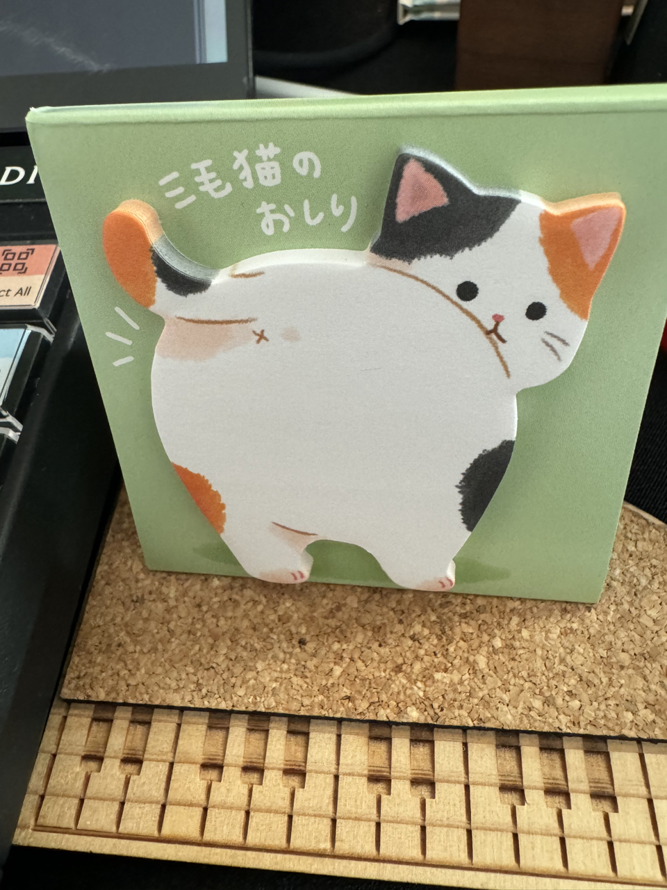 三毛猫