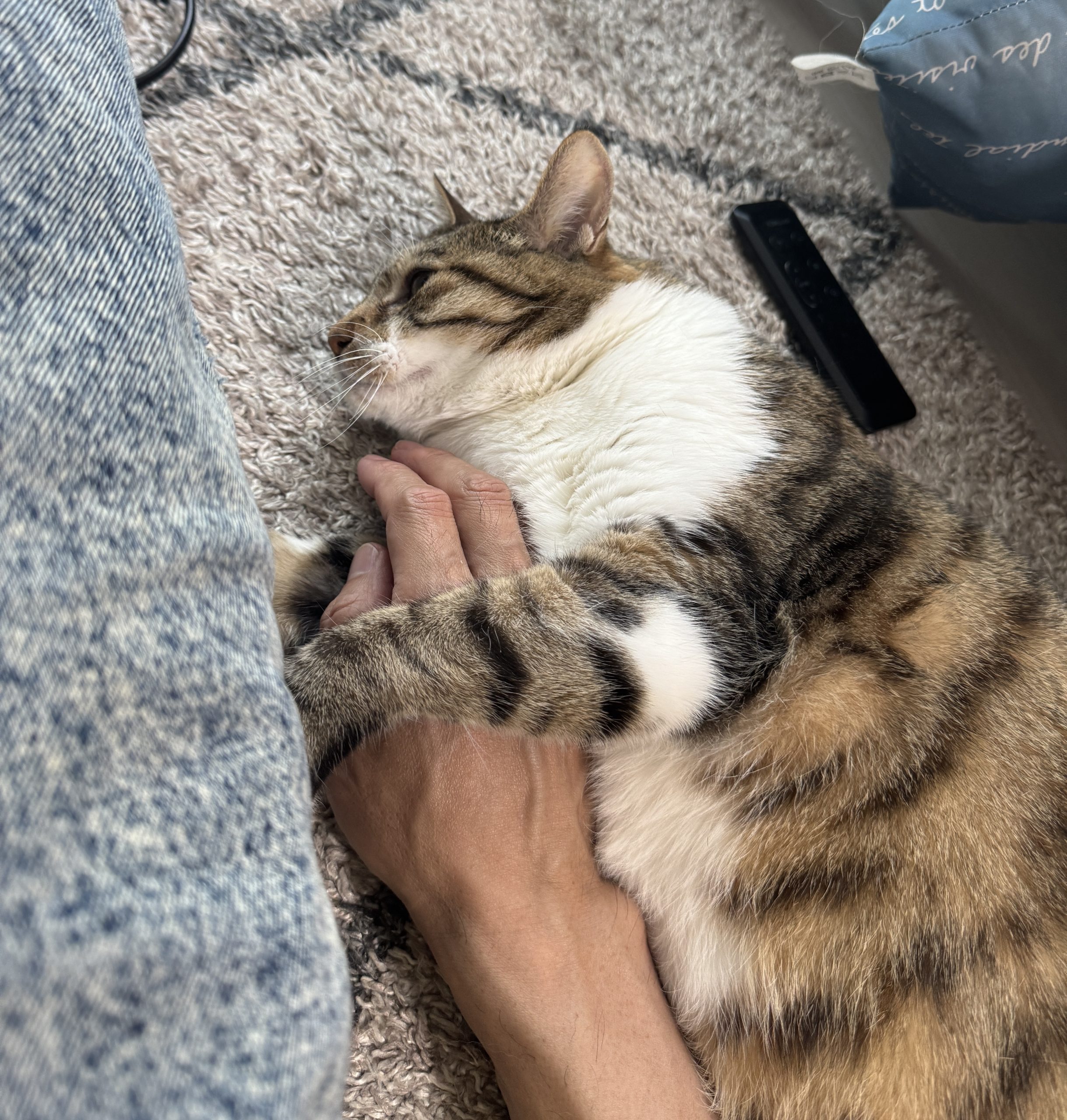 なぜなぜ？？