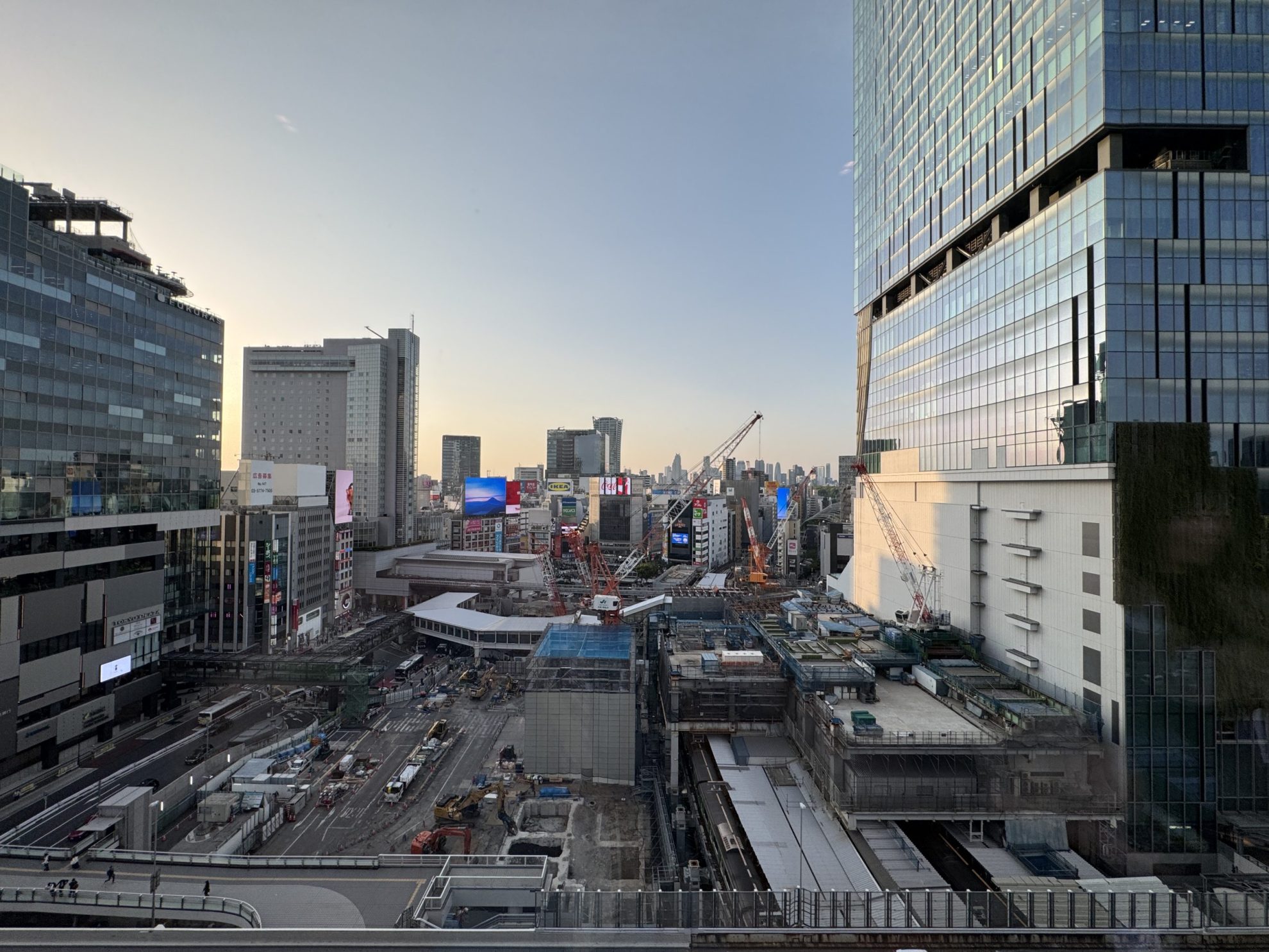 渋谷